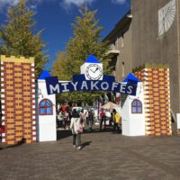 2015年11月3日 (11:42)