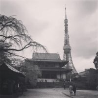 2015年11月21日 (16:24)