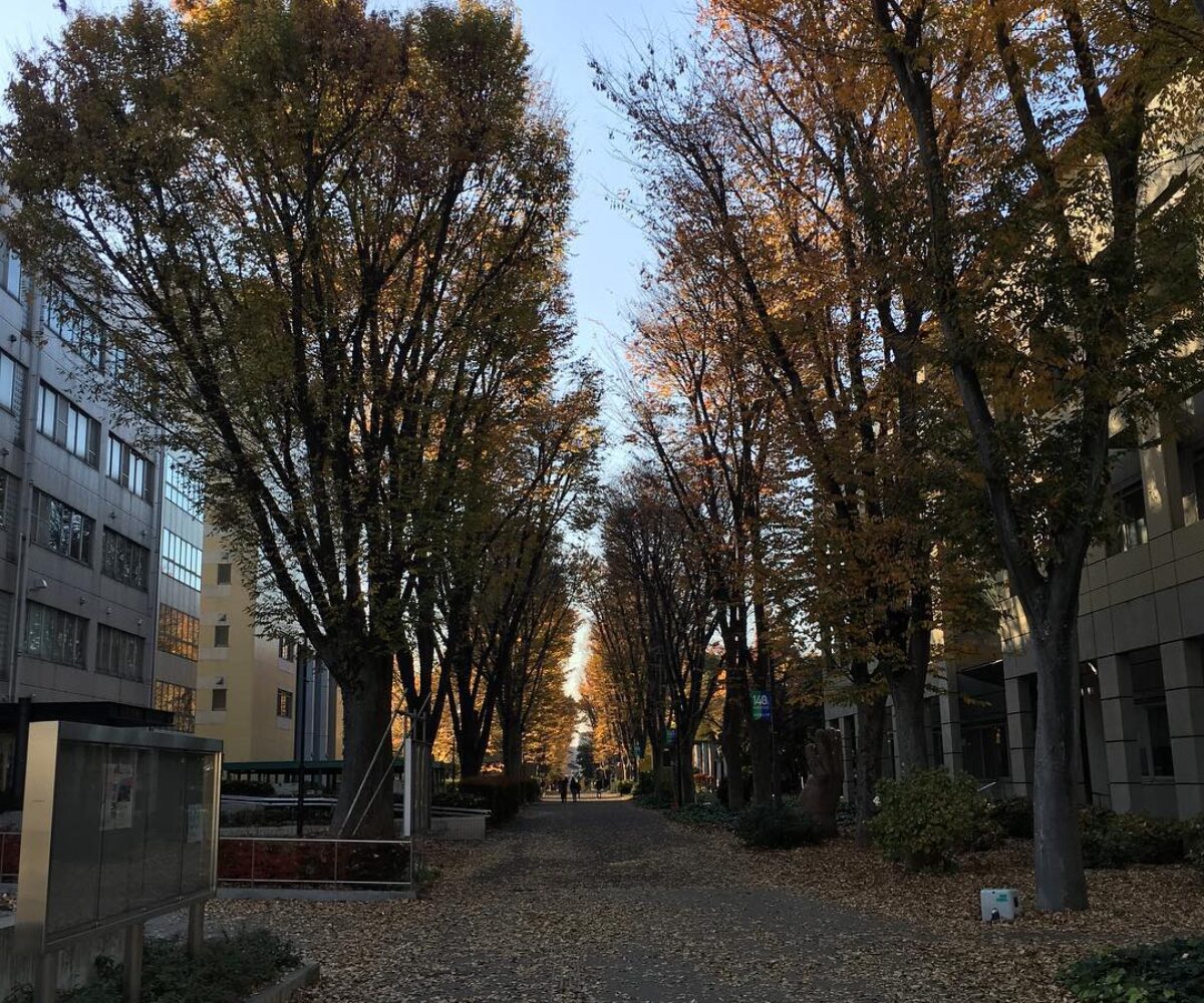 2015年12月7日 (14:19)