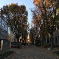 2015年12月7日 (14:19)