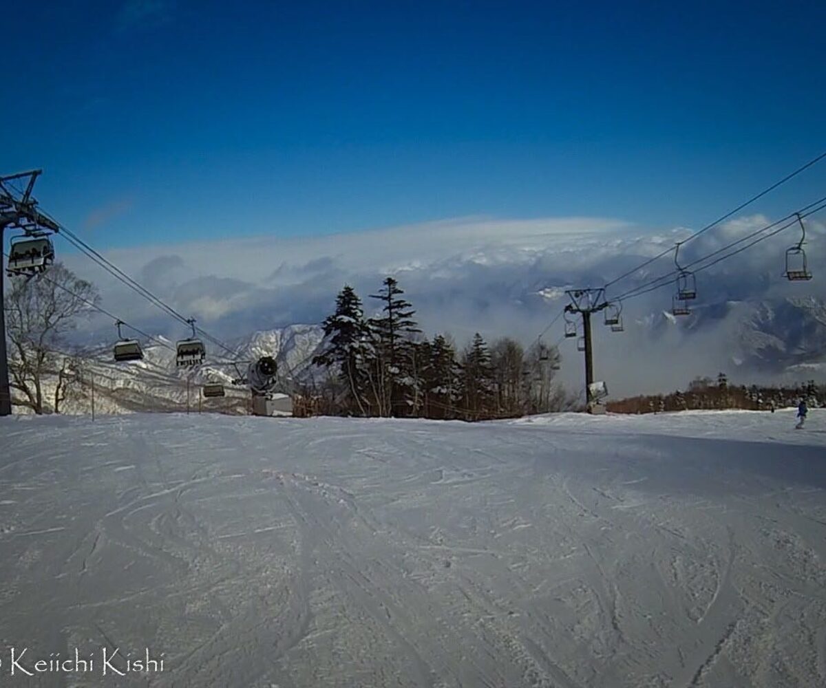 2016年1月11日 (16:26)