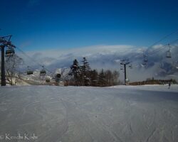 2016年1月11日 (16:26)