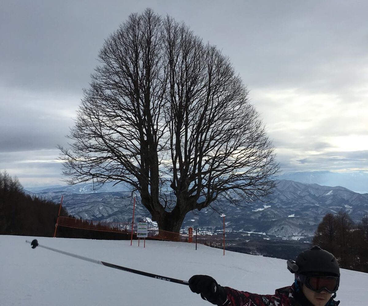 2016年2月13日 (10:17)