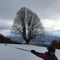 2016年2月13日 (10:17)