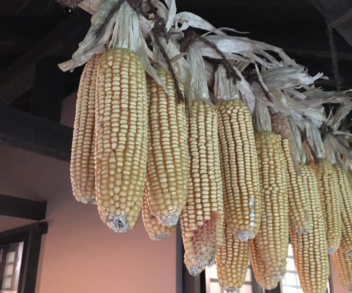 2016年5月3日 (17:49)