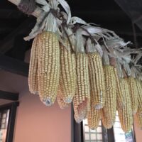 2016年5月3日 (17:49)