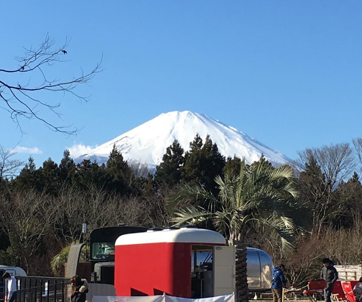 2017年1月1日 (13:17)