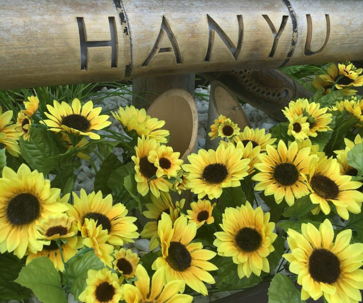 2017年7月31日 (10:44)