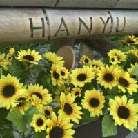 2017年7月31日 (10:44)