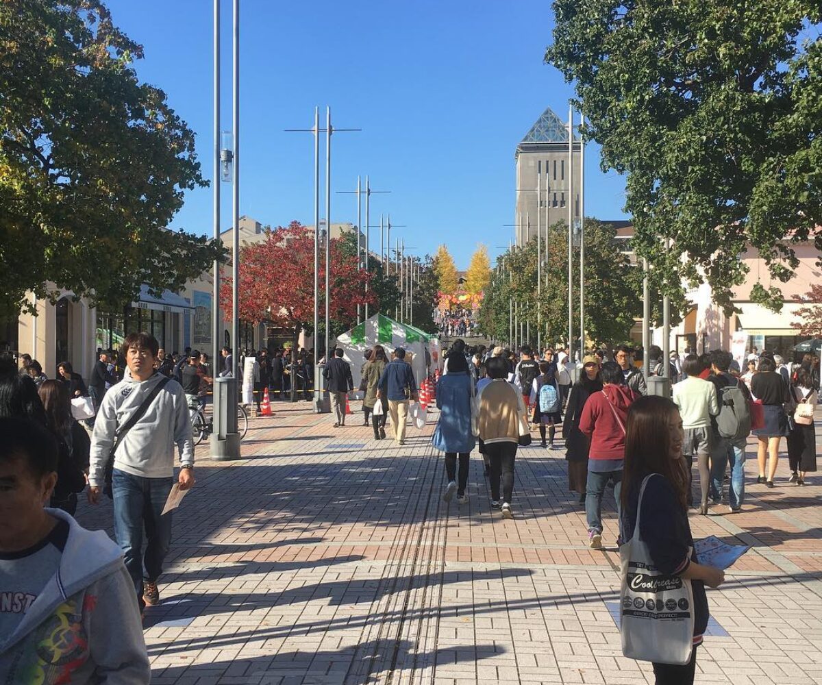 2017年11月3日 (13:23)