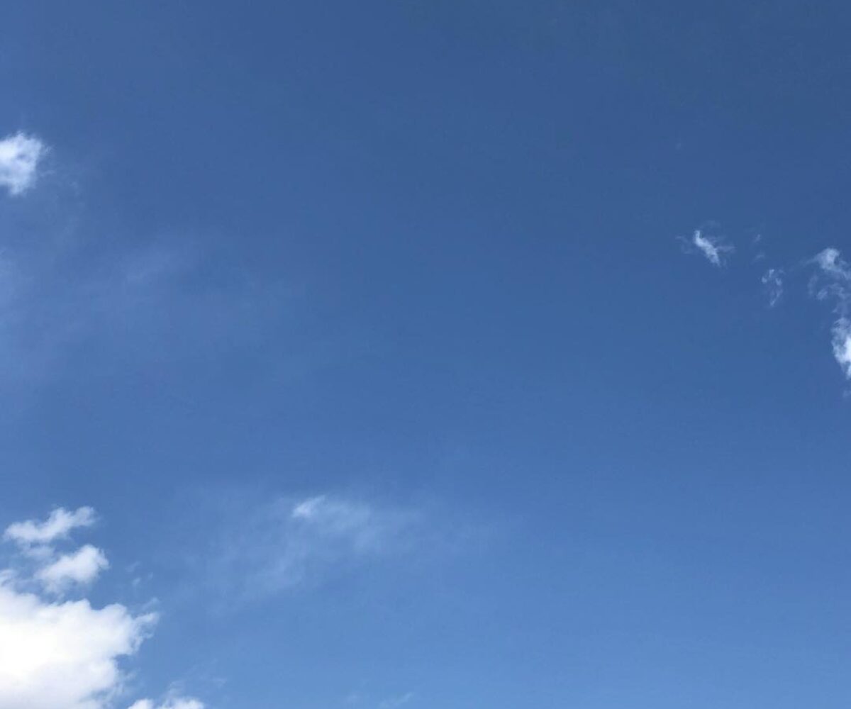 2018年4月8日 (13:29)