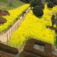 2019年3月17日 (07:40)