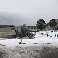 雪が無い、、、