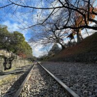 琵琶湖の水止めたろか#琵琶湖疏水